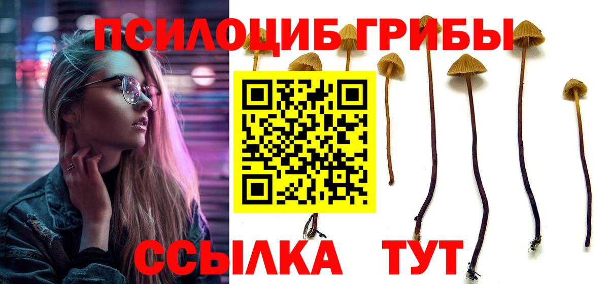 Псилоцибиновые грибы прущие грибы Фрязино